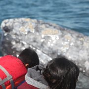 IMG 0001 2 (50)